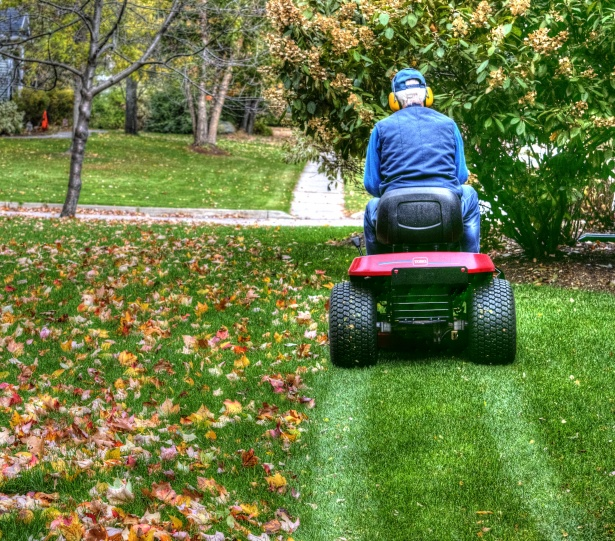 leaf vacuum mulcher to buy