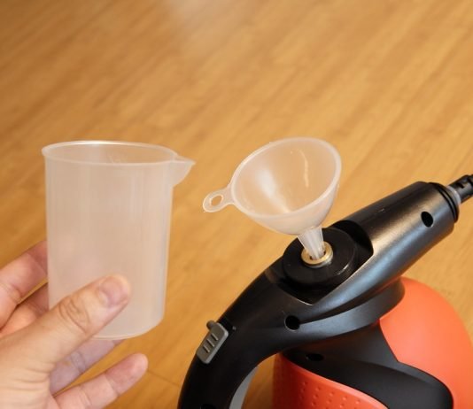 Best Steamer for Bed Bugs best steamer for bed bugs