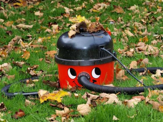 top leaf blower mulcher