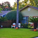 How to Keep Your Lawn Healthy how to keep your lawn healthy