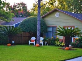 How to Keep Your Lawn Healthy how to keep your lawn healthy