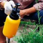 8 Effective Outdoor Pest Control Tips pest control tips