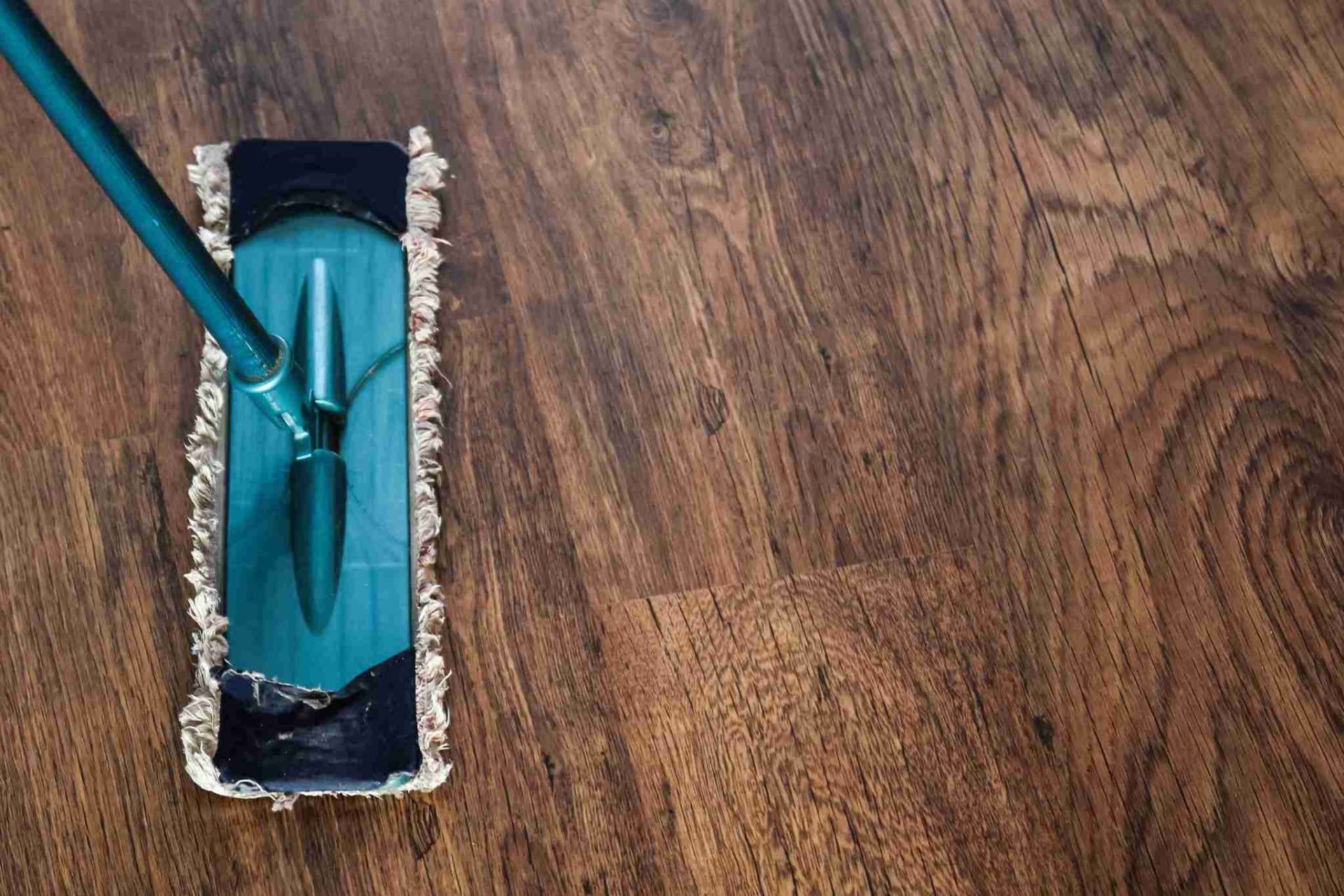 How to Get Stains Out of Hardwood Floors Spadone Home