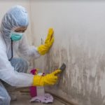 How To Eliminate Mold From Every Home Surface how to get rid of mold