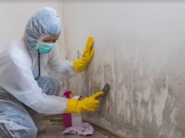 How To Eliminate Mold From Every Home Surface how to get rid of mold