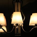 Soft White Vs Daylight Bulbs soft white vs daylight bulb