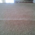How to Get Wrinkles Out of Carpet without a Stretcher how to get wrinkles out of carpet without a stretcher