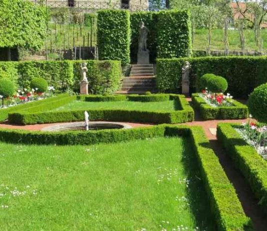 How to Best Prepare Your Garden and Lawn for Summer BBQs how to prepare your lawn and garden