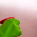 How to Get Rid of Mold Spores in the Air how to get rid of mold spores in the air