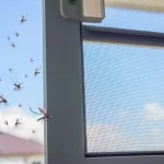 How to Get Rid of Mosquitoes Inside the House Naturally how to get rid of mosquitoes inside the house