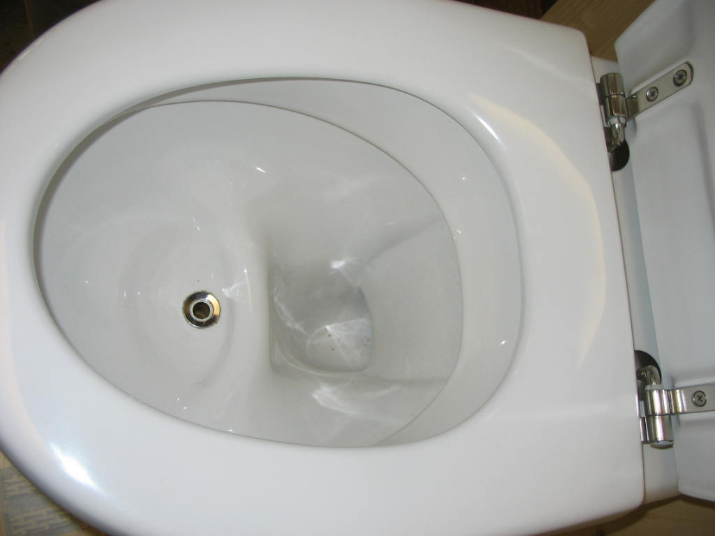 why my toilet does not flush