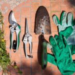 The Essential Gardening Tool Kit: Must-Have Items for Any Green Thumb gardening tool kit