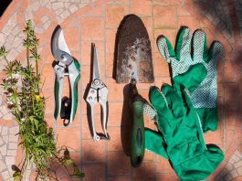 The Essential Gardening Tool Kit: Must-Have Items for Any Green Thumb gardening tool kit