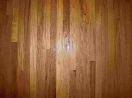 How to Remove Scratches from Vinyl Flooring how to remove scratches from vinyl flooring