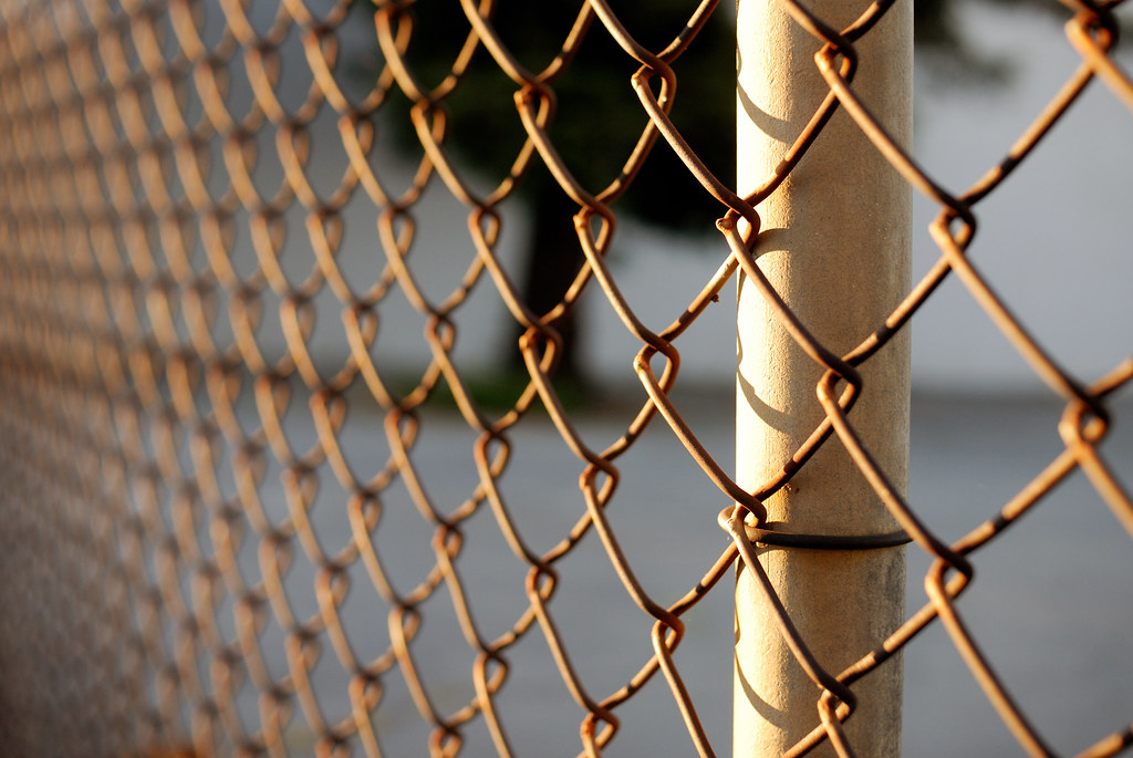 inexpensive ways to hide a chain link fence