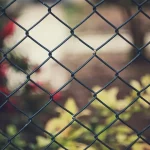 Inexpensive Ways to Cover a Chain Link Fence inexpensive ways to cover a chain link fence