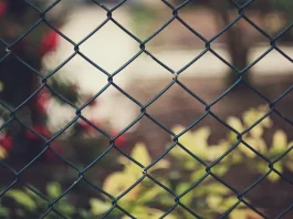 Inexpensive Ways to Cover a Chain Link Fence inexpensive ways to cover a chain link fence