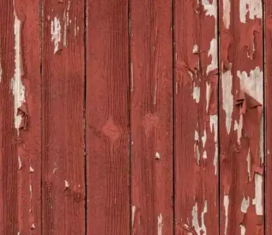 How to Remove Paint from Wood without Chemicals how to remove paint from wood without chemicals