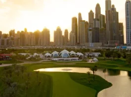 Real Estate Brokers in Dubai: the New Level of Proficiency