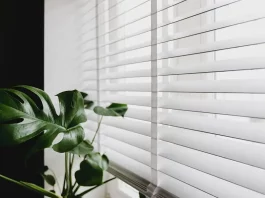 5 Reasons Why You Should Consider Having Blinds in Your Office blinds in house