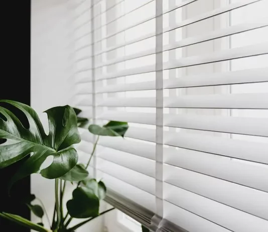 5 Reasons Why You Should Consider Having Blinds in Your Office blinds in house
