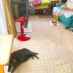 Why is my room so hot compared to rest of house